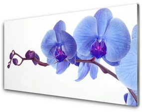 Obraz na akrylátovom skle Kvety rastlina 100x50 cm
