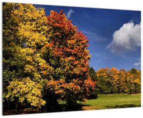 Jesenné stromy - moderný obraz