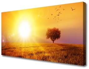 Obraz Canvas Západ slnka lúka plátky 125x50 cm
