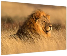 Obraz - Národný park Etosha (90x60 cm)