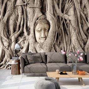 Artgeist Fototapeta - Buddha's Tree Veľkosť: 100x70, Verzia: Standard