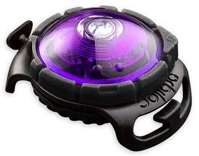 LED svetlo na obojok Purple – Orbiloc