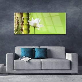 Obraz plexi Bambus stonka rastlina príroda 125x50 cm