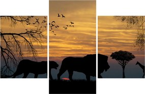 Obraz Safari (90x60 cm)