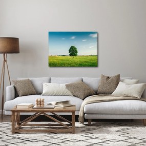 Obraz stromu uprostred lúky (70x50 cm)