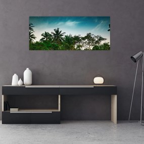Obraz - palmy (120x50 cm)