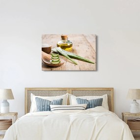 Obraz - Aloe vera (90x60 cm)