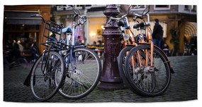 Sablio Uterák Mestský bicykel - 30x50 cm