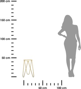STOJAN NA KVETINÁČ TRIPOD 45X30X24 CM ZLATÁ