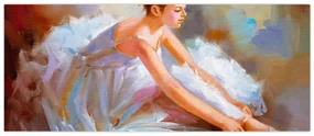 Obraz - Baletka (120x50 cm)