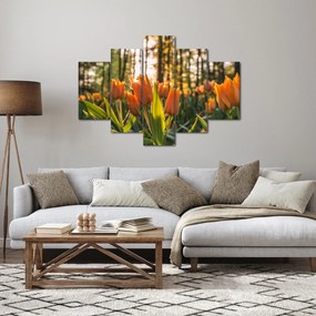 Obraz - kvety tulipánov (150x105 cm)