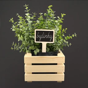 AMADEA Drevený zápich - ceduľka na bylinky, výška 15 cm, český výrobok