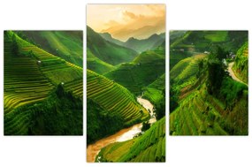 Obraz - Ryžové terasy Mu Cang Chai (90x60 cm)