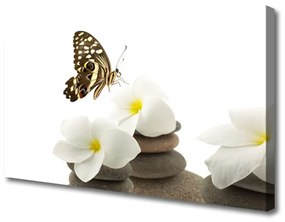 Obraz Canvas Motýľ kvet kamene rastlina 140x70 cm