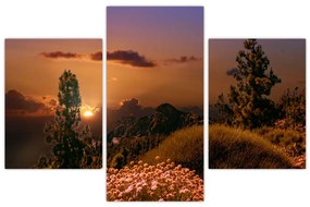 Obraz prírody pri západe slnka (90x60 cm)