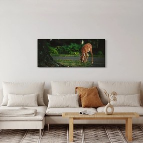 Obraz srnky (120x50 cm)