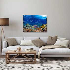 Obraz - Oceán (70x50 cm)