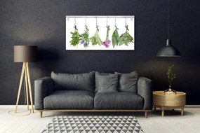 Skleneny obraz Sušené byliny listy kvety 125x50 cm