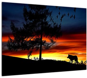Sklenený obraz - Silueta vlka (70x50 cm)