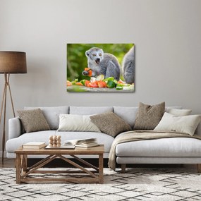 Obraz lemura (70x50 cm)