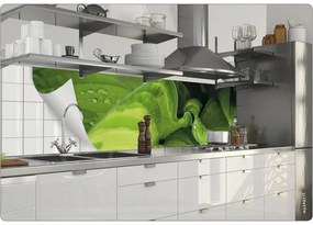 Samolepiace fólie za kuchynskú linku mySPOTTI splash Prales 60x220 cm