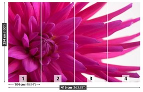 Fototapeta Vliesová Dahlia pink 250x104 cm