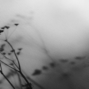 Obraz - Detail lúčnych kvetov (150x105 cm)