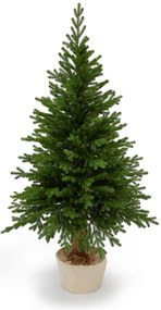 Smrek Prestige na pni 100% 3D- 185cm