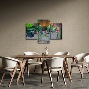Obraz - Chameleon (90x60 cm)