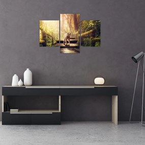 Obraz tigra (90x60 cm)