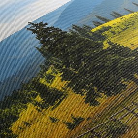 Obraz - Horská lúka (70x50 cm)