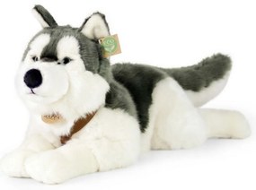 Rappa Plyšový husky s postrojom 60 cm ECO -FRIENDLY