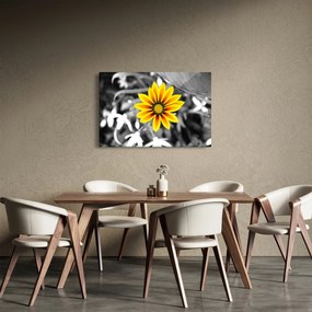Obraz žltej kvetiny (90x60 cm)