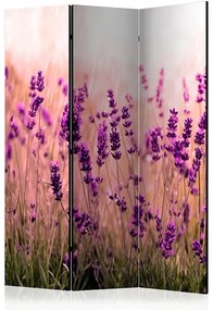Paraván - Lavender in the Rain [Room Dividers] Veľkosť: 135x172, Verzia: Jednostranný