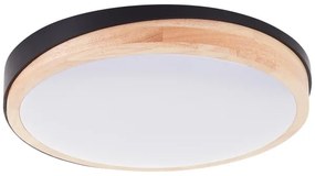 Brilliant - LED St. stropné svietidlo BAARLO LED/24W/230V pr. 35 cm čierna