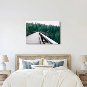 Obraz - Most k vrcholkom stromov (90x60 cm)
