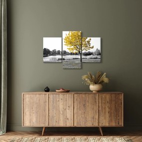 Obraz - Odpočinok v parku (90x60 cm)