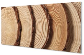 Obraz plexi Plátky obilia dreva 125x50 cm