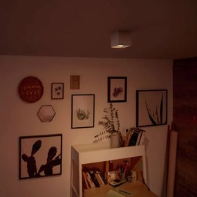 Philips 50491/31/P0-LED Stmievateľné bodové svietidlo MYLIVING BOX 1xLED/4,5W/230V