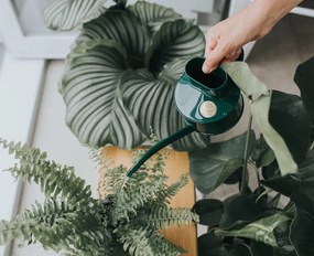 HAWS Krhlička na polievanie Fazeley Flow Green – 700 ml