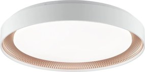 Brilliant - Stmievateľné LED stropné svietidlo WALDO LED/36W/230V biela/ružové zlato + diaľkový ovládač