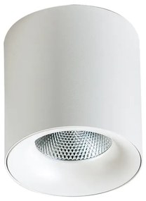 LED bodové svetlo Mane 10W 4000K biele