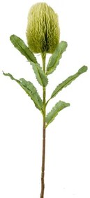 Umelá rastlina Banksia Branch zelená 65 cm