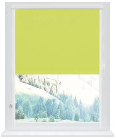 Dekodum Klasická mini roleta v bielej kazete, farba látky Mäta Šířka (cm): 58, Dĺžka (cm): 150, Strana mechanizmu: Práva