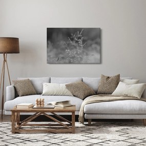 Obraz - Vidiecka lúka (90x60 cm)