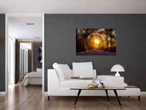Obraz - Priehľadná bublina (90x60 cm)