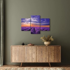 Obraz levanduľového pole (90x60 cm)