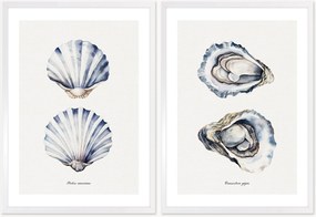 Nástenné dekorácie v rámoch Oyster, 2 ks