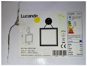 Lucande Lucande - LED Vonkajšie nástenné svietidlo so senzorom MIRCO LED/13W/230V IP54 LW0358