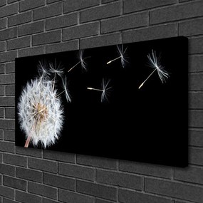 Obraz Canvas Púpava kvety príroda 100x50 cm
